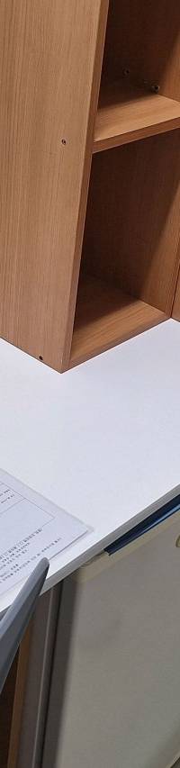 혼합형
