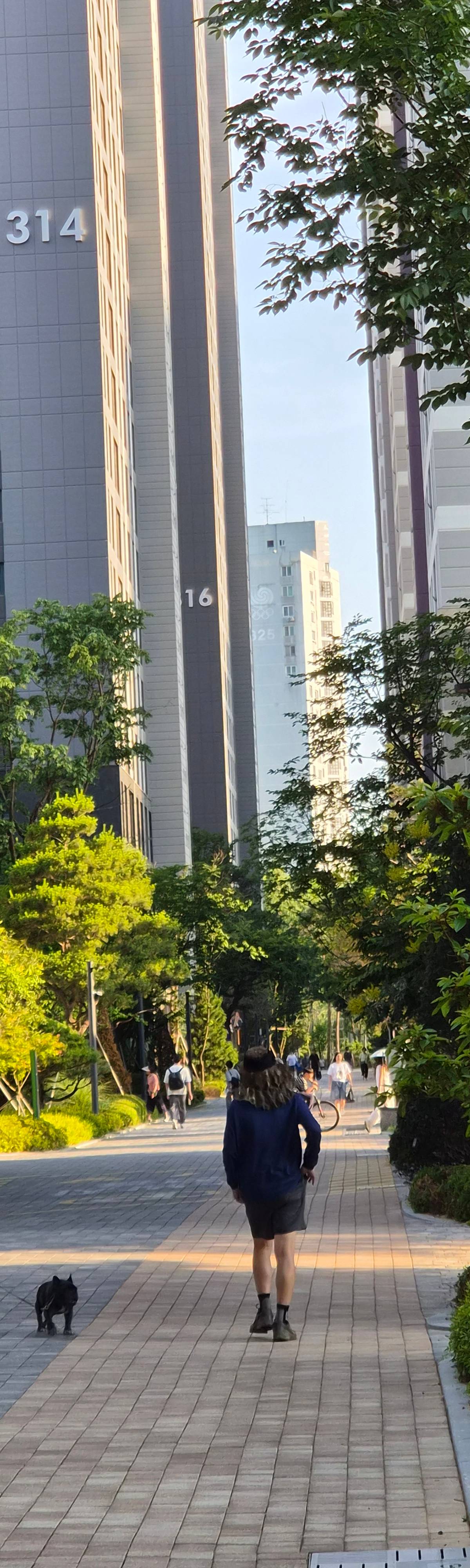 방 1 1/6